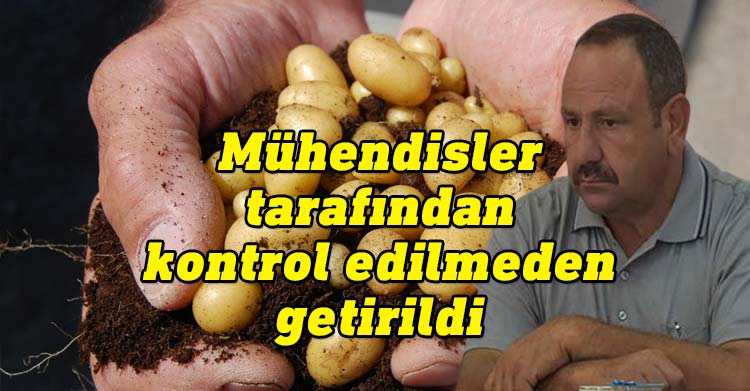 Kıbrıs Türk Patates Üreticileri Birliği Engin Halkseven,
