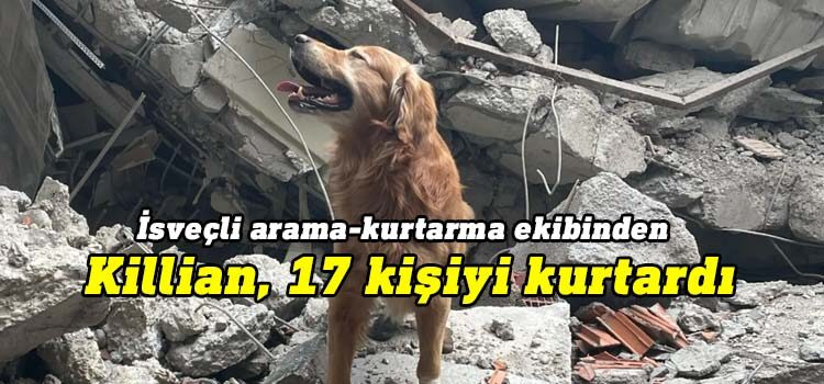 İsveç'ten gelen ekibin Killian adlı köpek üyesinin, görev aldığı enkaz alanlarında 17 kişinin kurtarılmasına yardımcı olduğu belirtildi.