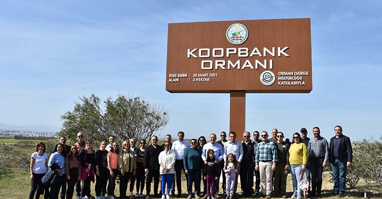 Koopbank çalışanları Taşkent bölgesinde bulunan Koopbank Ormanı’na geçen yıl olduğu gibi bu yıl da fidan dikim etkinliği gerçekleştirdi.