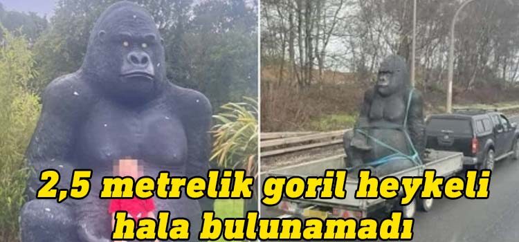 Gorilla Gary isimli heykel çalınmasının ardından ilk kez geçen perşembe günü bir kamyonetin kasasında görüntülendi.