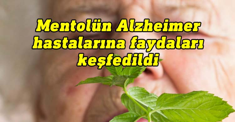 Mentolün Alzheimer hastalarına faydaları keşfedildi