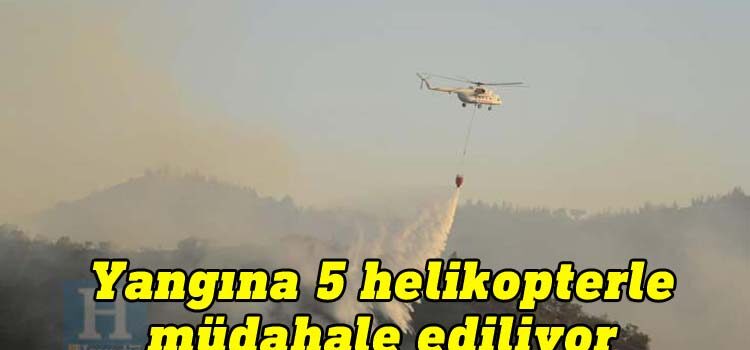 Yangına 5 helikopterle müdahale ediliyor