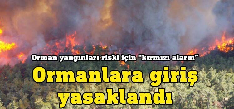 Orman Dairesinden orman yangınları riski için “kırmızı alarm” uyarısı