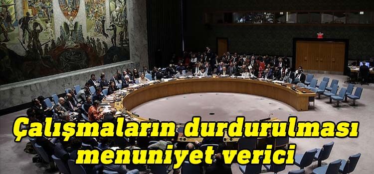 BM Güvenlik Konseyi’nin Kıbrıs’a İlişkin Basın Açıklamasının tam metni