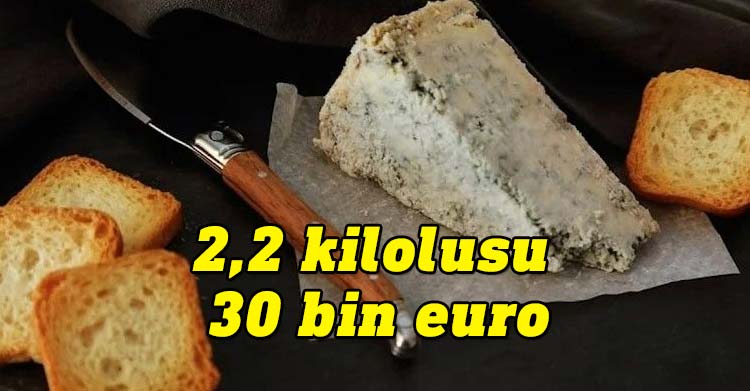 Kuzey İspanya'nın cabrales mavi peynirinin 2,2 kg'lık bir parçası açık artırmada 30 bin euro karşılığında satıldı.