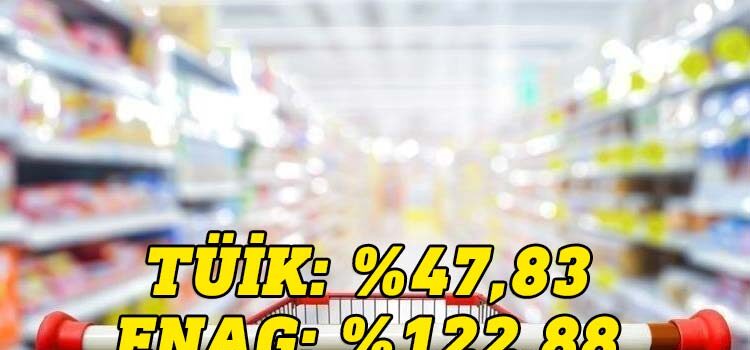Türkiye İstatistik Kurumu (TÜİK) Temmuz ayına ilişkin Tüketici Fiyat Endeksi'nin (TÜFE) yüzde 47,83 olduğunu açıkladı.