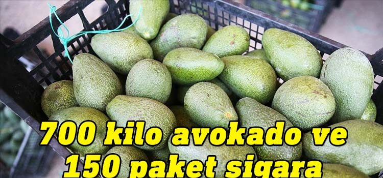 Lefkoşa'da gümrüğe beyan edilmemiş 700 kilo avokado ve 150 paket sigara tespit edildi