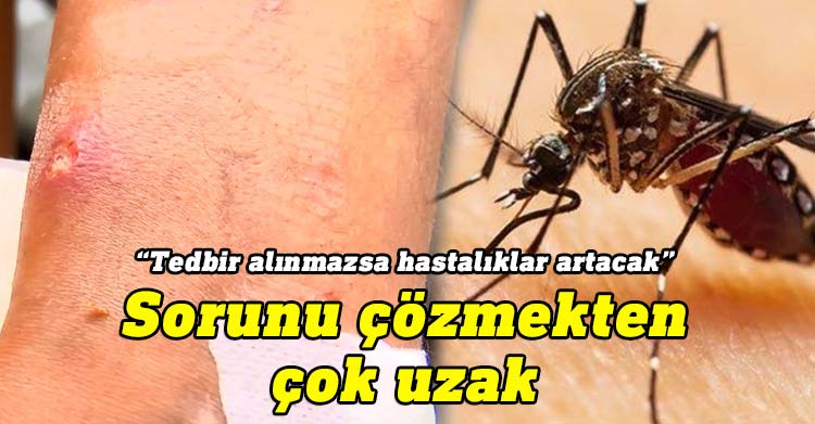 Biyologlar Derneği, Sağlık Bakanlığı ve Temel Sağlık Hizmetler Dairesi özelinde gerçekleştirilen sivrisinek mücadelesi çalışmalarının “sorunu çözme noktasından oldukça uzak” olduğunu savundu.