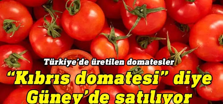 Rum Basını: Türkiye’de üretilen domatesler Güney Kıbrıs’ta satılıyor