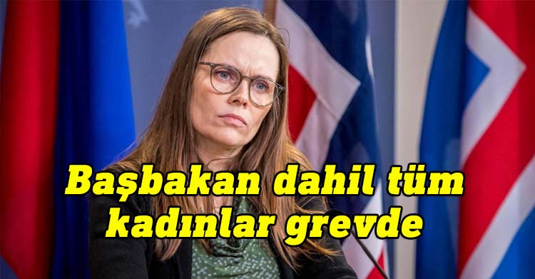îzlanda başbakan grev