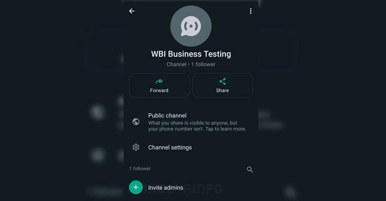 WhatsApp kanallara yeni özellik: Yeni yönetici eklenebilecek