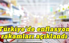 Türkiye enflasyon rakamları