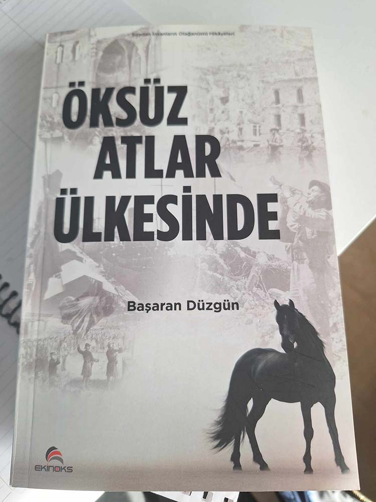 mksüz atlar ülkesinde kitap eleştirisi