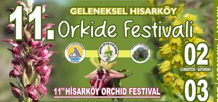 Hisarköy Orkide Festivali