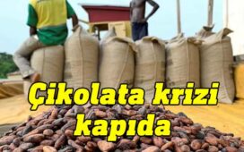 Fildişi Sahilleri ve Gana'daki büyük kakao fabrikaları, tohum maliyetlerini karşılayamadığı için üretimi kısma veya durdurma kararı aldı.