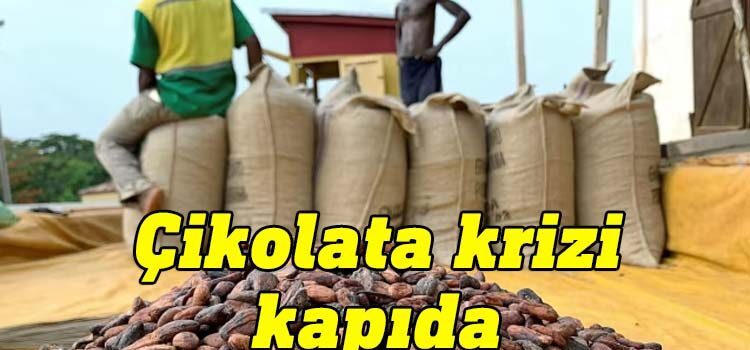 Fildişi Sahilleri ve Gana'daki büyük kakao fabrikaları, tohum maliyetlerini karşılayamadığı için üretimi kısma veya durdurma kararı aldı.