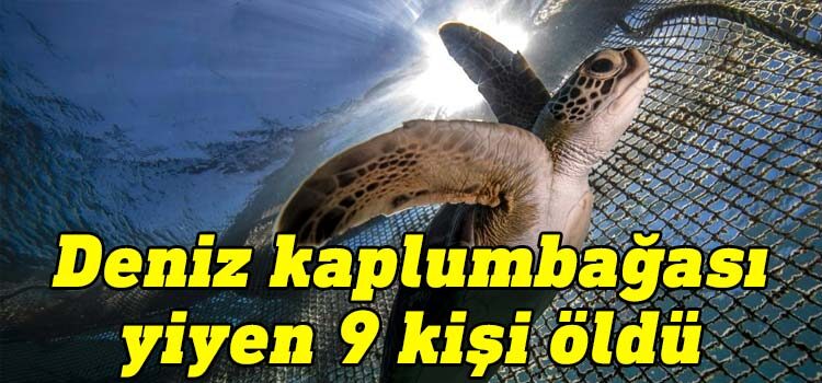 Afrika'nın Hint Okyanusu'ndaki Zanzibar'ın Pemba adasında deniz kaplumbağası eti yiyen 78 kişi hastanelik oldu, sekiz çocuk ve 1 yetişkin ise hayatını kaybetti.