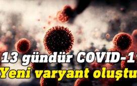 Hollanda'daki Amsterdam Üniversitesi Tıp Merkezi'ndeki bulaşıcı hastalık uzmanları tarafından bildirilen vakada, 72 yaşında bir adam 613 gün boyunca COVID-19 virüsünü vücudunda taşıdı.