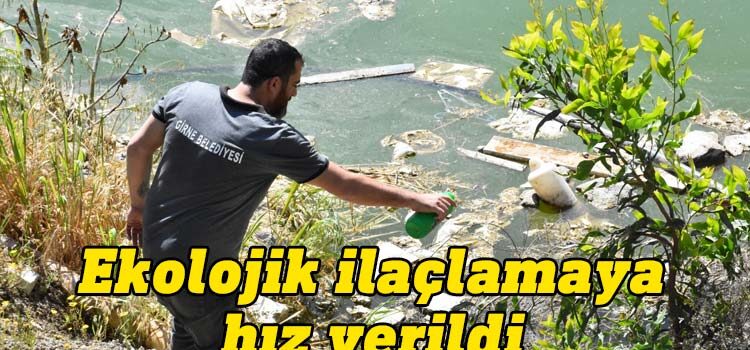 Girne Belediyesi Sağlık Şubesi ekipleri, uçkun sinek ilaçlamasına hız verdi.