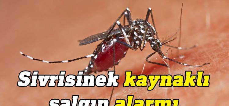 Uzmanlar, iklim krizi nedeniyle Avrupa'da sivrisinek kaynaklı hastalıkların yayıldığını söylüyor. Dang humması ve sıtma gibi hastalıkların Kuzey Avrupa, Amerika, Asya ve Avustralya'nın etkilenmeyen bölgelerine ulaşması bekleniyor.