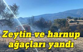 Ağıllar-Altınova köyleri arasında yangın… Çam, zeytin ve harnup ağaçları yandı