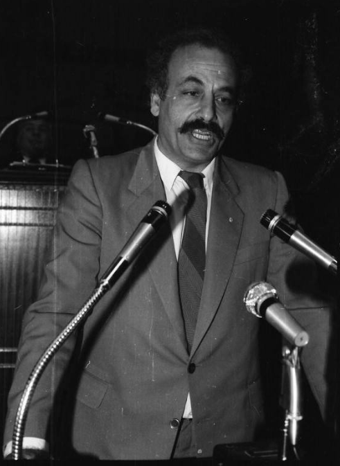 Ergün Vehbi