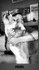 Odin ve Nazar
