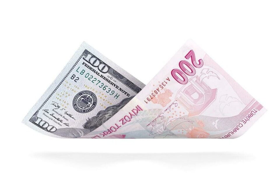 DOLAR TL
