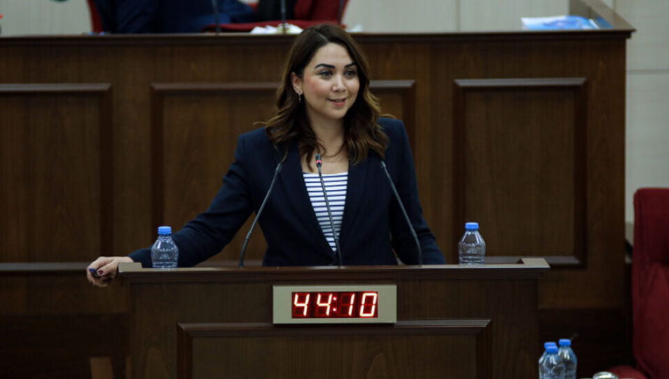 Ayşegül baybars