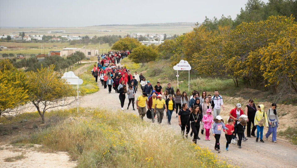 orkide yürüyüşü