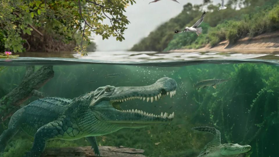 Deinosuchus antik timsah