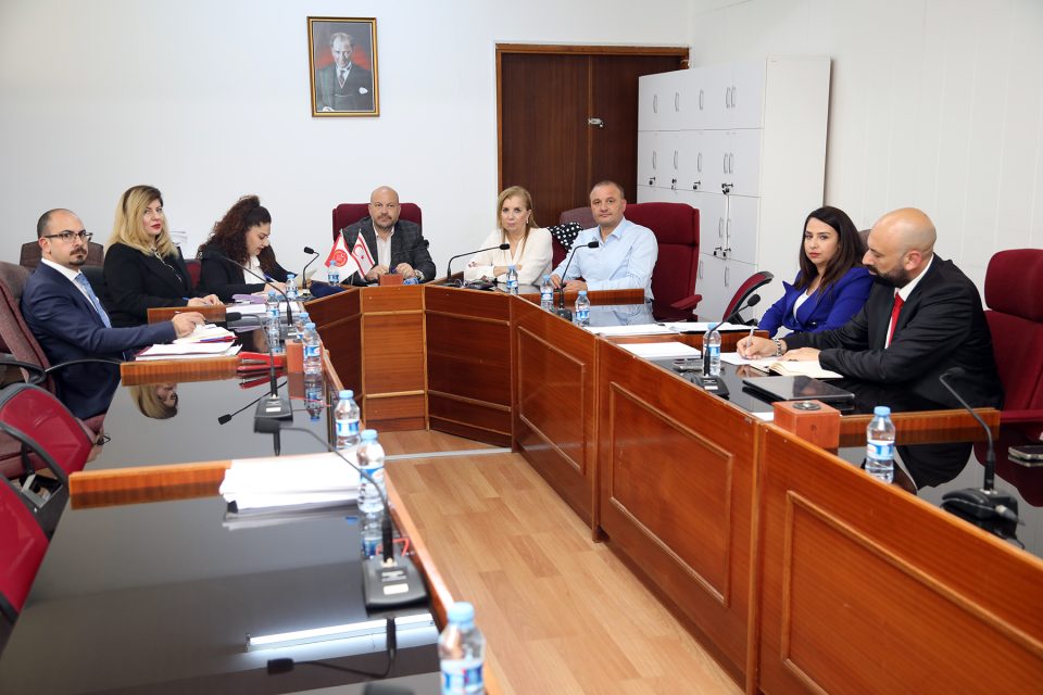 Dijital Dünyada Çocuk Hakları ADHOC Komite