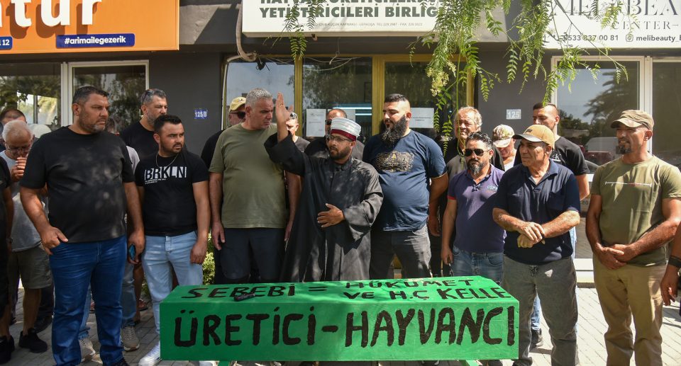 Hayvan Üreticileri ve Yetiştiricileri Birliği