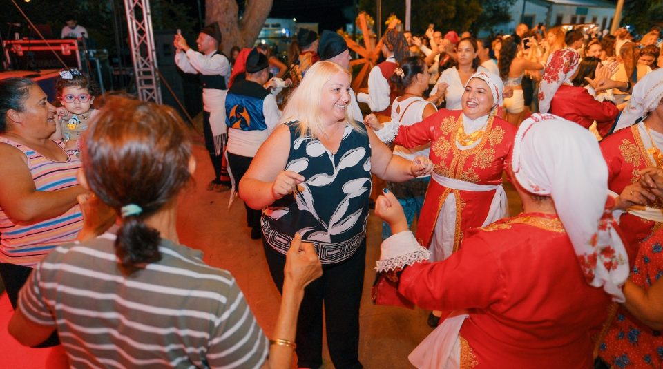 Mehmetçik Üzüm Festivali