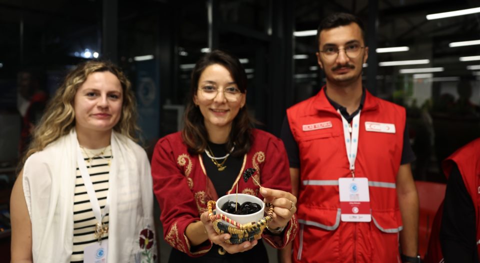 Doğu Akdeniz Üniversitesi
