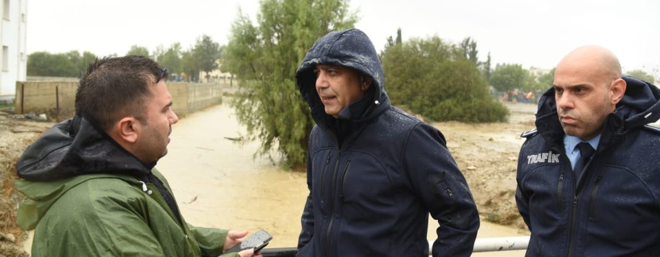 mehmet harmancı