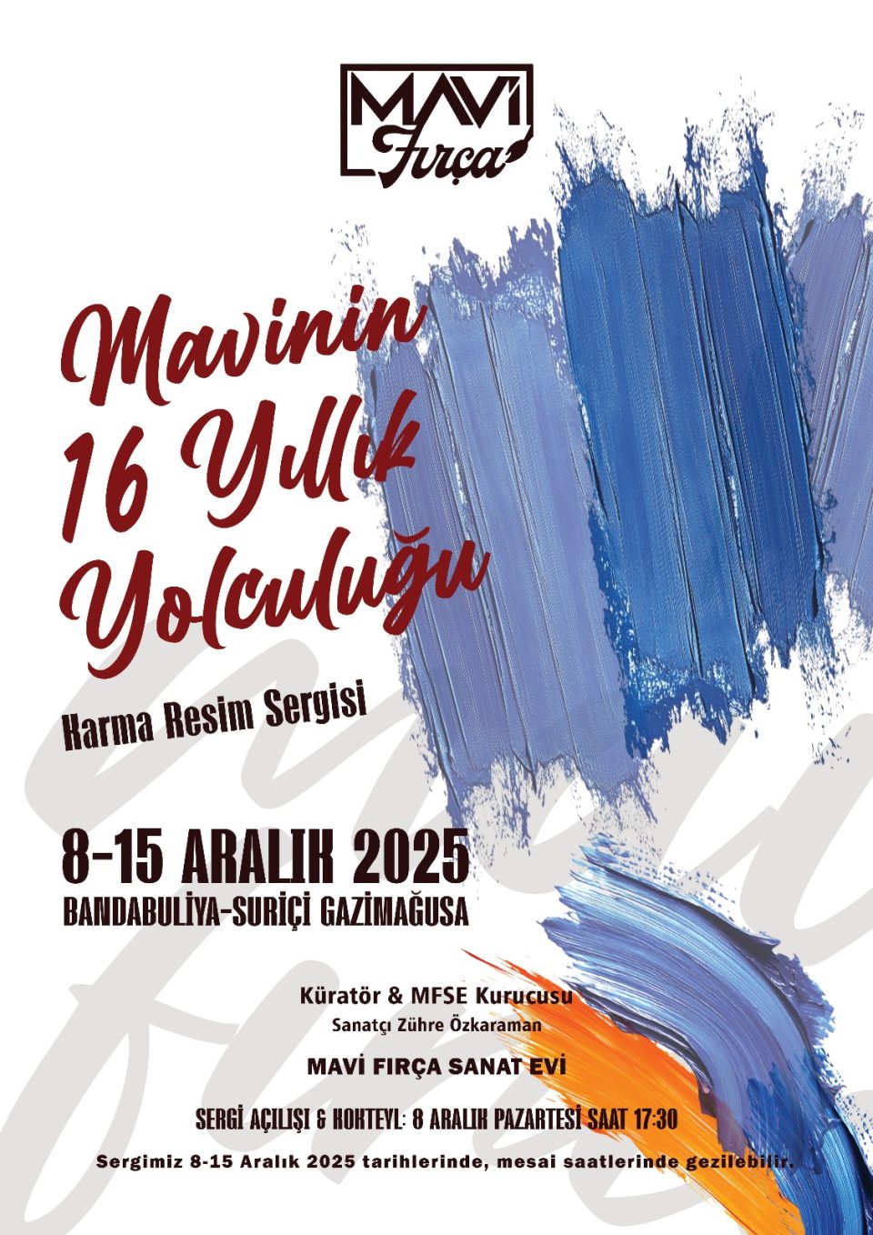Mavi’nin 16 Yıllık Yolculuğu