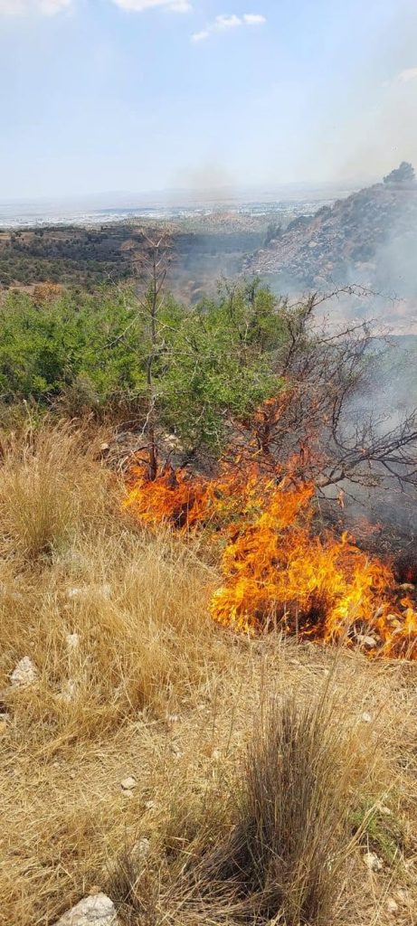 Taşkent’le Güngör arasındaki yangın söndürüldü