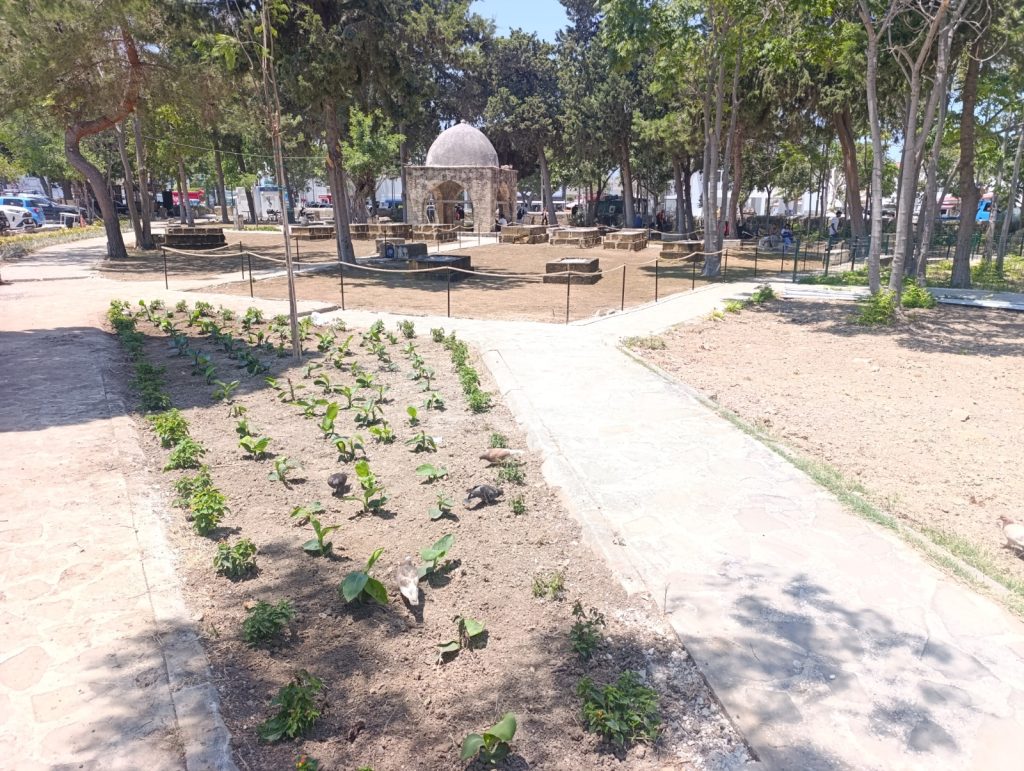 Girne Belediyesi’nden Baldöken Osmanlı Mezarlığı’na peyzaj düzenlemesi
