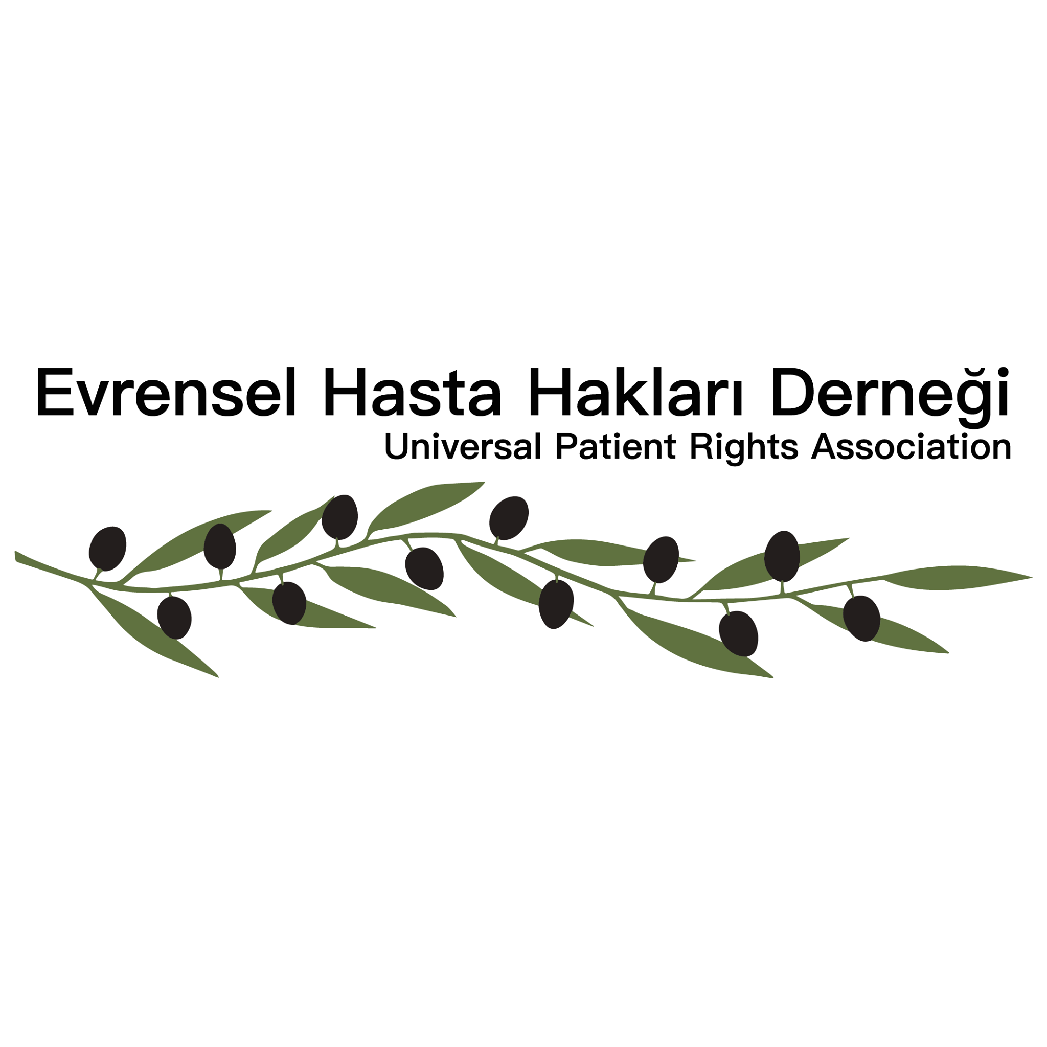 Evrensel Hasta Hakları Derneği’nden Barış Ruh ve Sinir Hastalıkları Hastanesi’ndeki ölümle ilgili soruşturma çağrısı