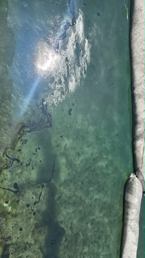 Baf limanında ciddi mazot ve sıvı atık kirliliği yaşanıyor