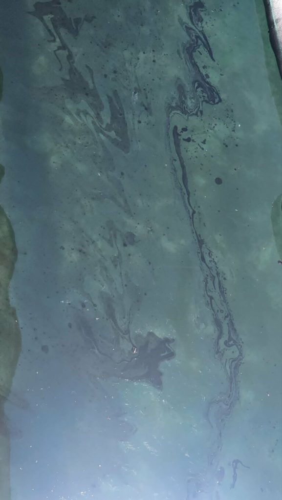 Baf limanında ciddi mazot ve sıvı atık kirliliği yaşanıyor