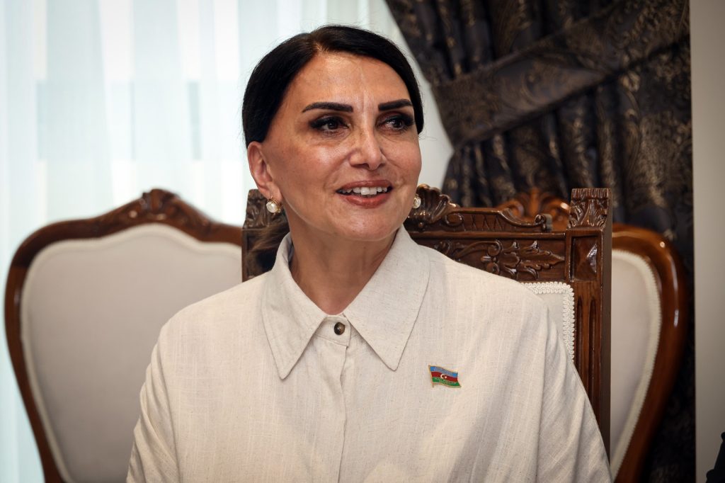 Meclis Başkanı Öztürkler, Azerbaycan heyetini kabul etti