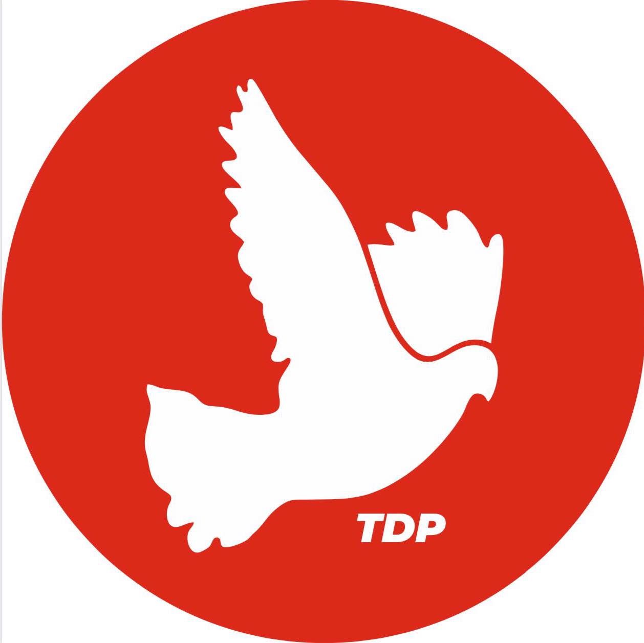 TDP, çocuk ve kadınların korunmasına yönelik etkin sistem çağrısı yaptı